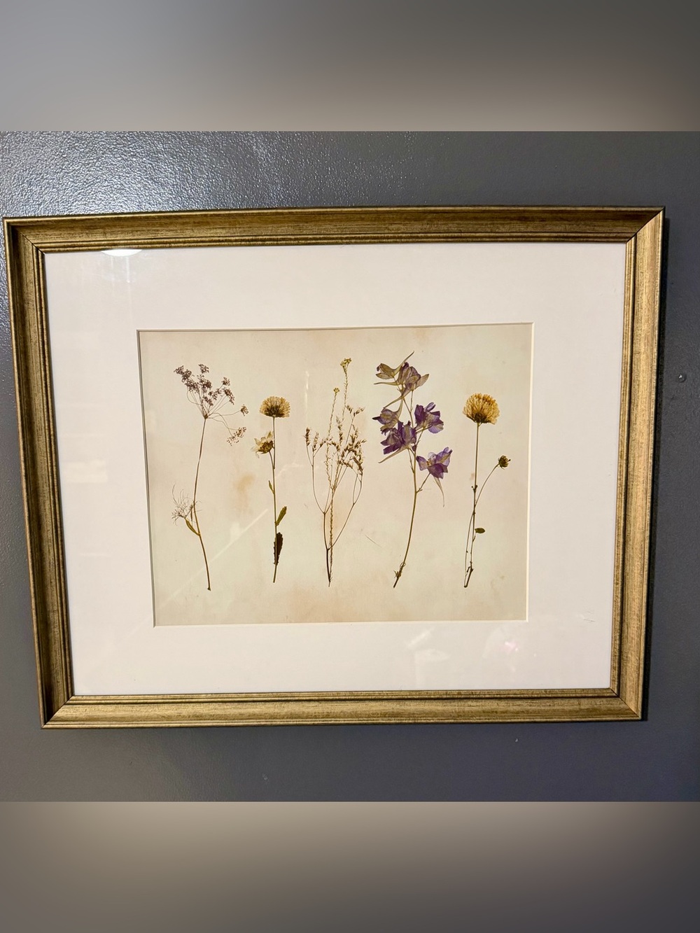 ✨ HomeGoods Framed Pressed Botanical Wall Art - Gold Frame